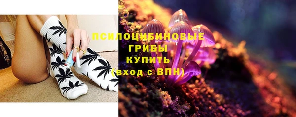Альфа ПВП Арсеньев