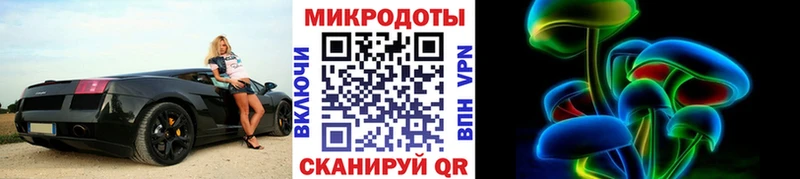Псилоцибиновые грибы Magic Shrooms  магазин продажи наркотиков  Купино 