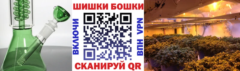 где можно купить   Купино  Бошки марихуана конопля 